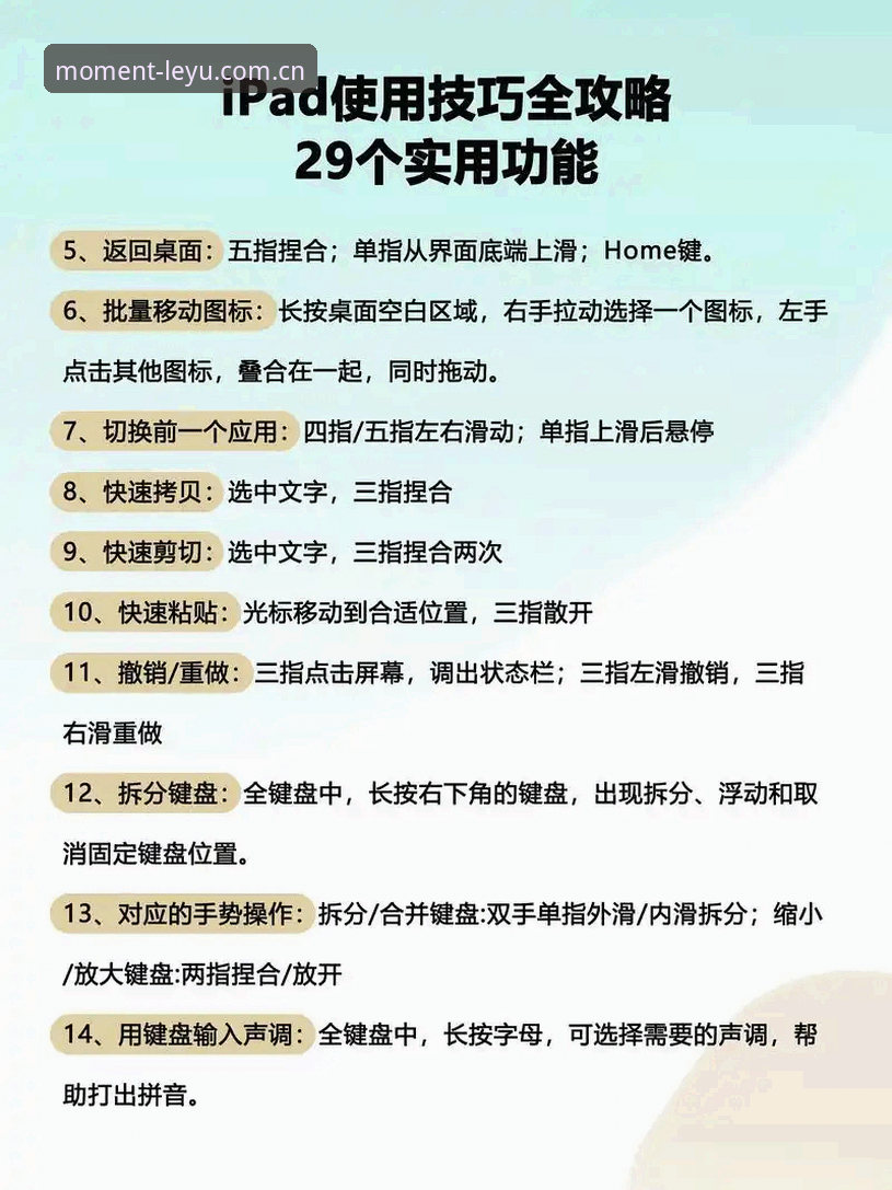 乐鱼体育平台使用教程：从下载到数据同步的完整操作指南